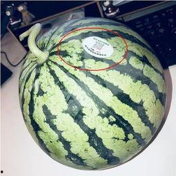 400w网红吃瓜,400万网红揭秘娱乐圈吃瓜大事件